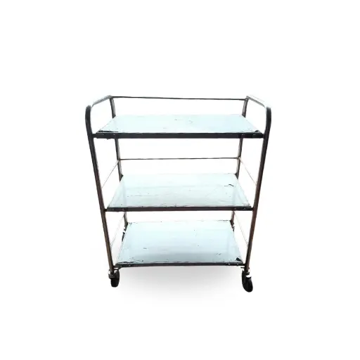 Uniequip Instruments Trolley – Stainless Steel Medical Utility Cart with Multiple Shelves & Wheels for Hospitals, Clinics & Labs